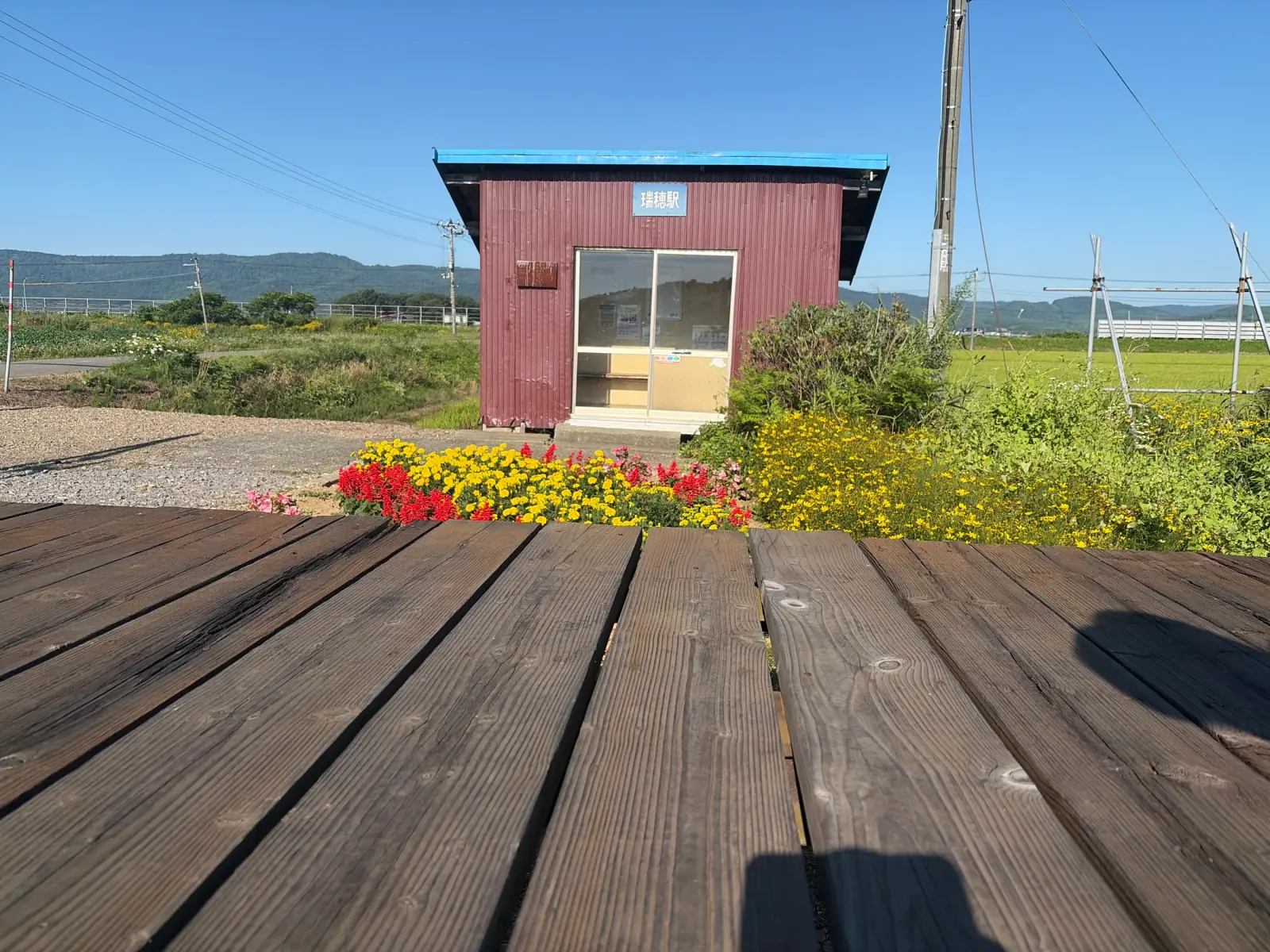 赤茶色の待合室と、その手前に咲く花々