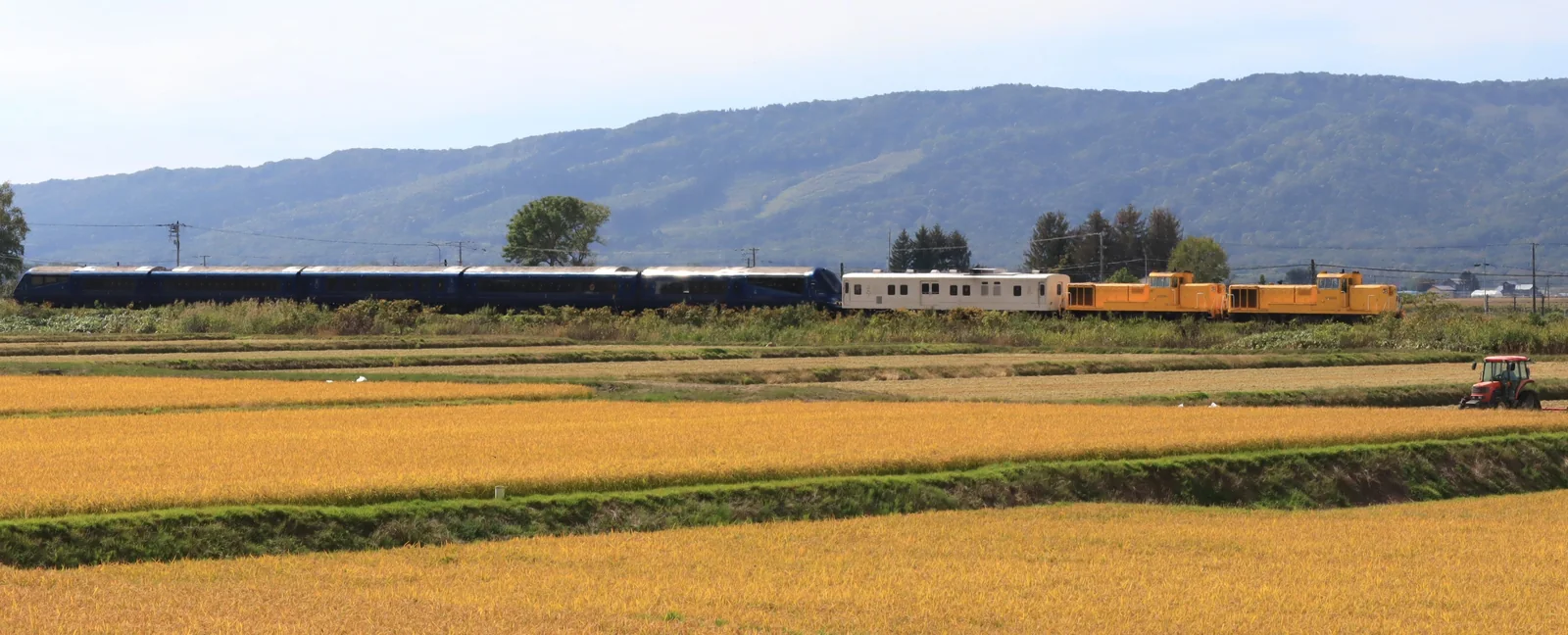 黄金色の田園の向こうを走るTHE ROYAL EXPRESSと黄色い機関車