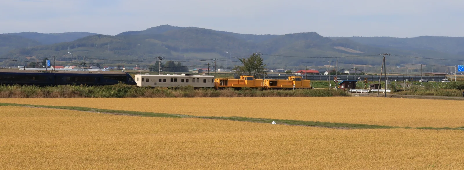 黄金色の田園と山並みを背景に、瑞穂駅を通過するTHE ROYAL EXPRESSの全景