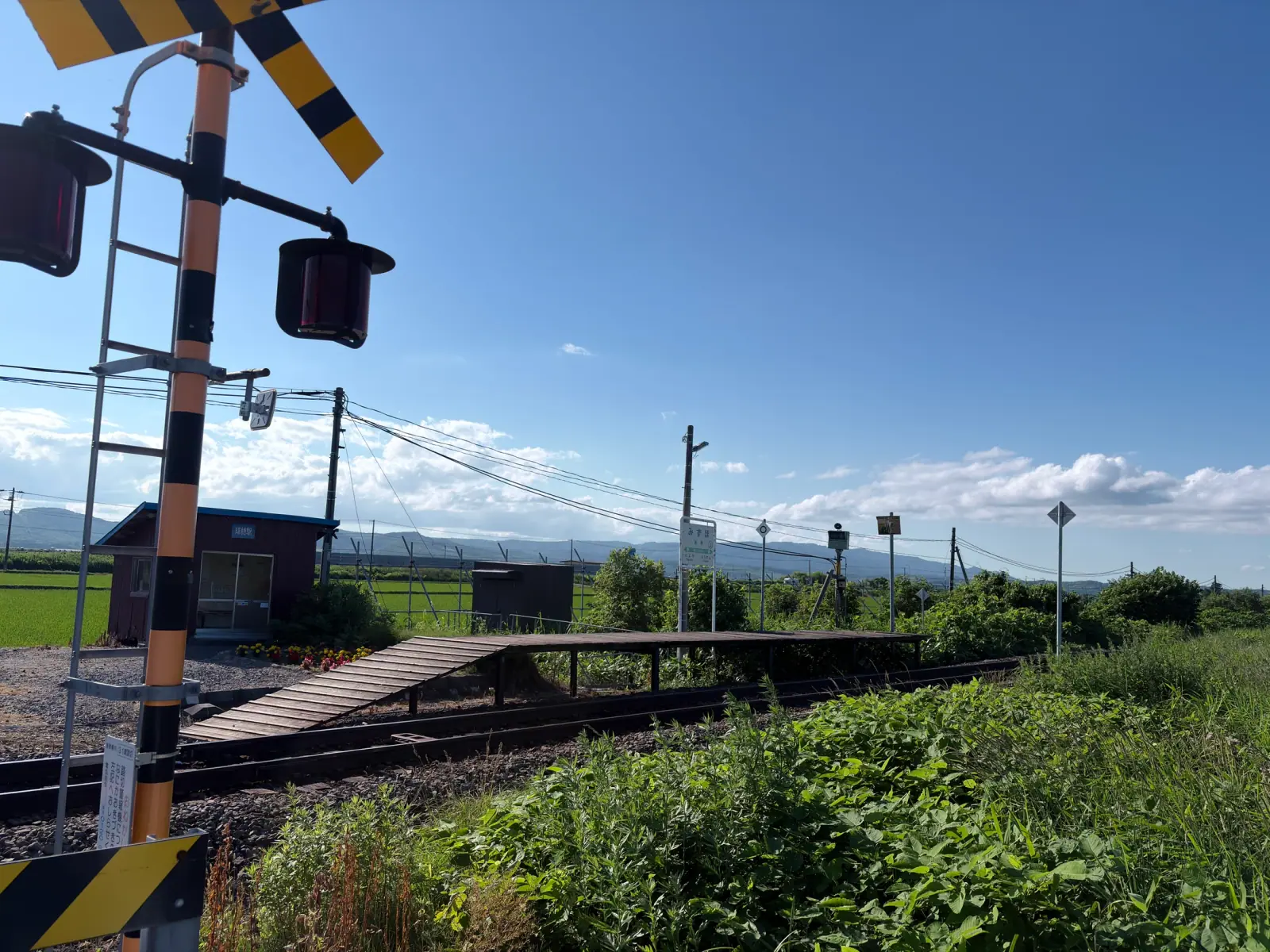 青空と田園に囲まれた瑞穂駅のホームと踏切