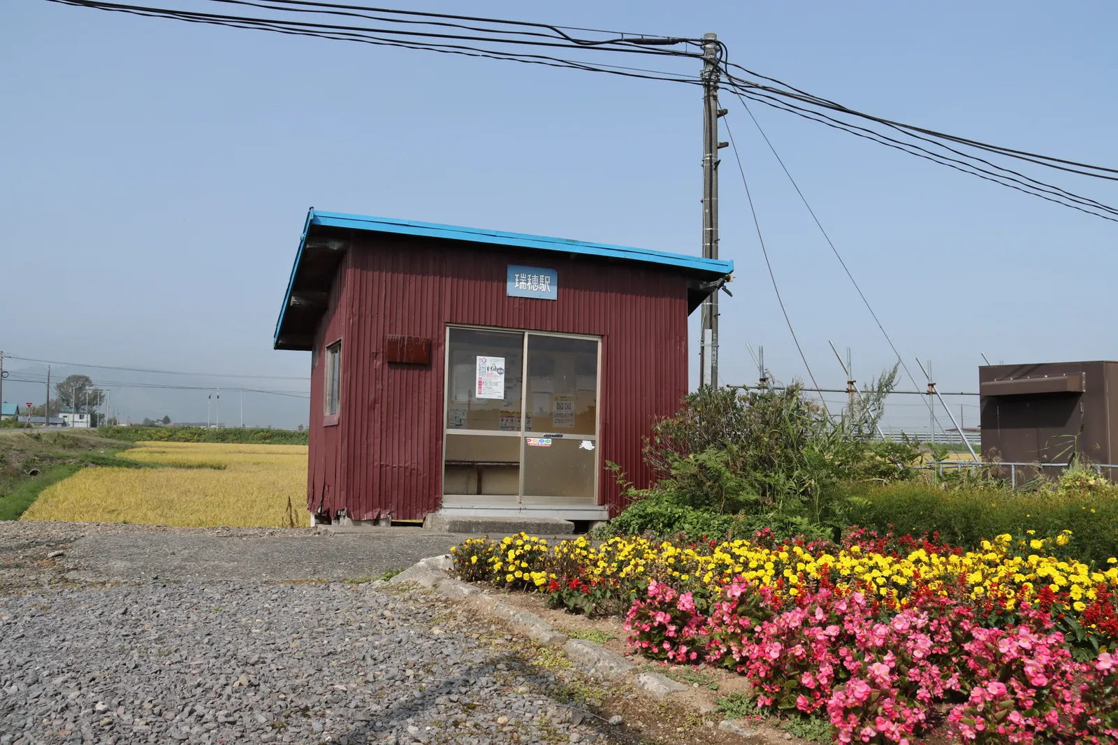 瑞穂駅の赤茶色の待合室と、その手前いっぱいに咲く花壇