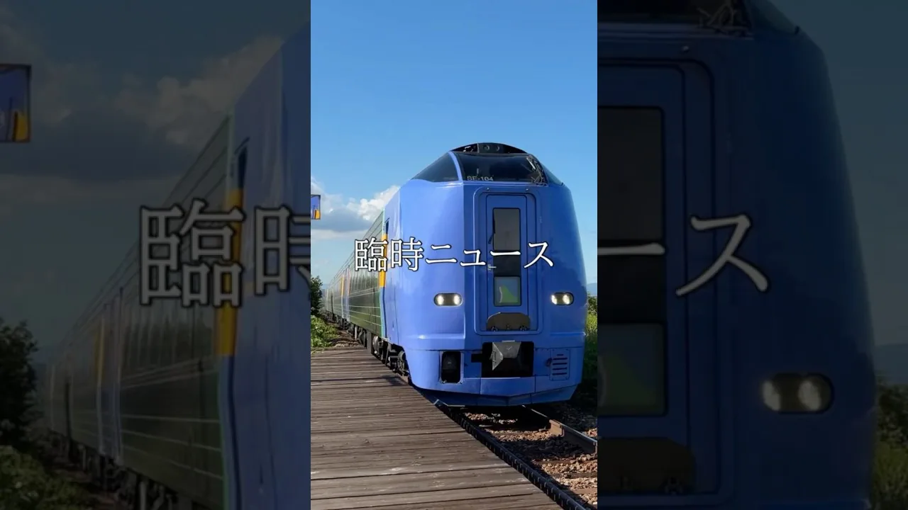 瑞穂駅 映像記録プロジェクトのサムネイル